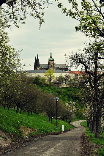 Rozkvetlá Praha