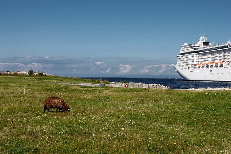 Sheep and ship