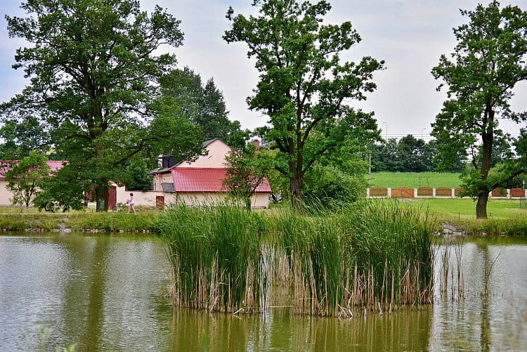 Ostrůvek