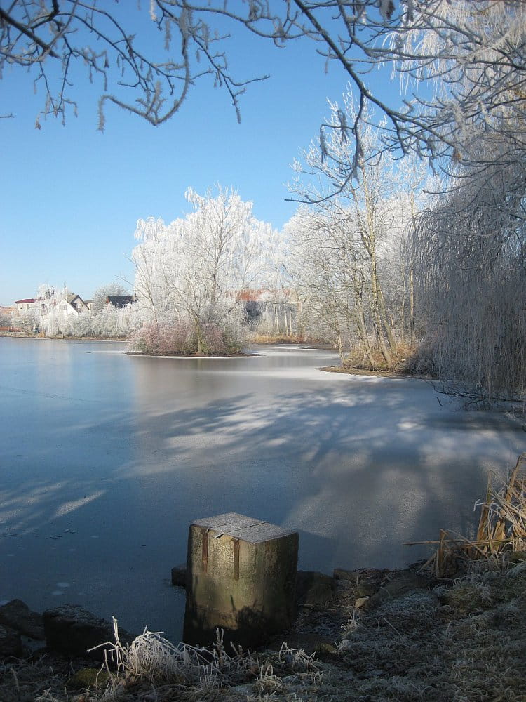 Zamrzlý rybník