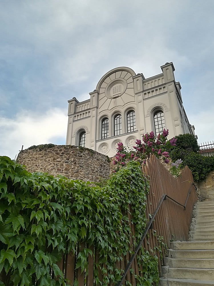 Jarní synagoga