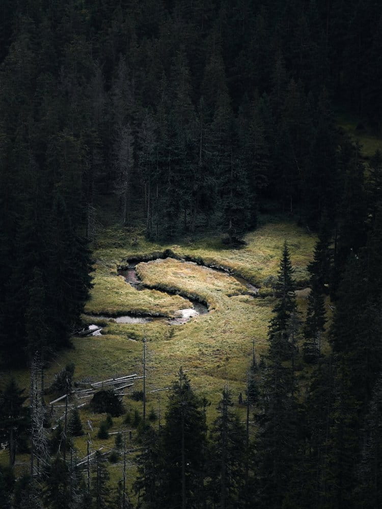 Krkonošská divočina