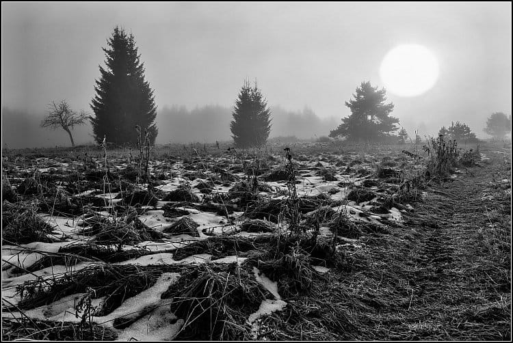 Šumava