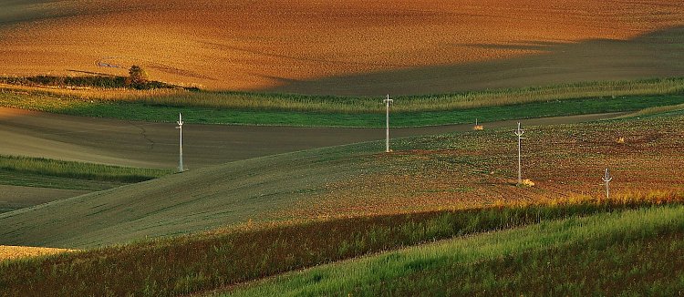 Sloupoví