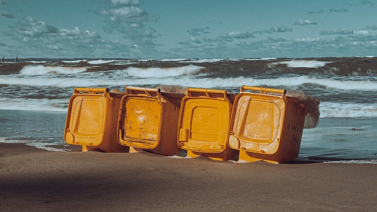 Friends on the beach