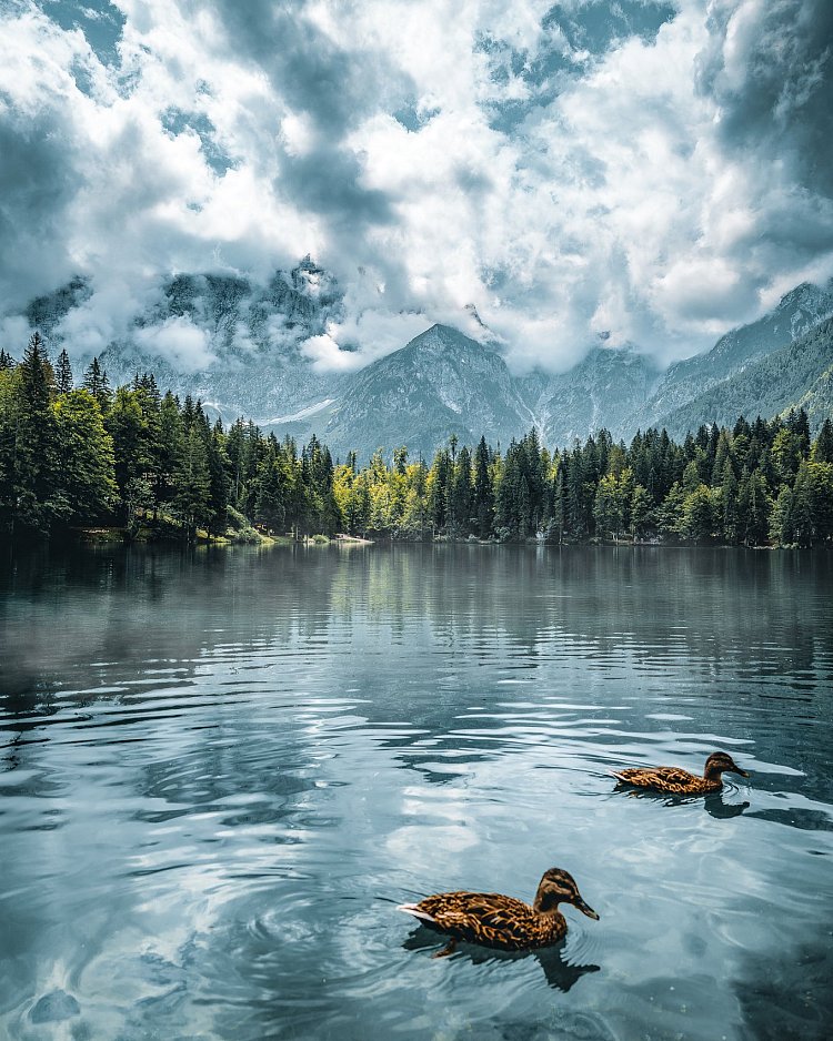 Jezero Lago di Fusine