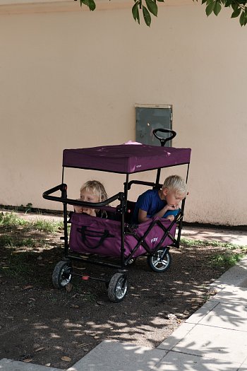 Children in trolley