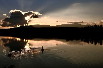 Labutí jezero