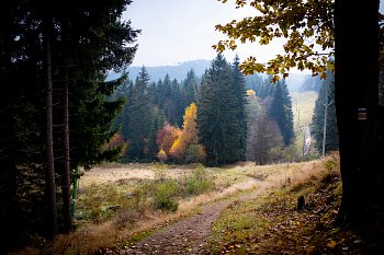 Barevný podzim