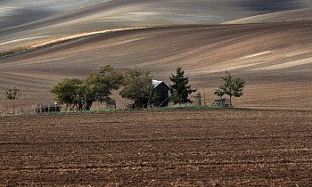 Moravské Slovácko