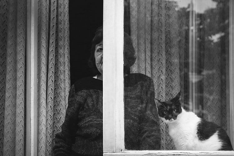 Lady And The Cat